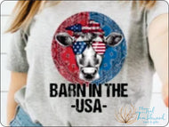 Barn in the USA (1114)